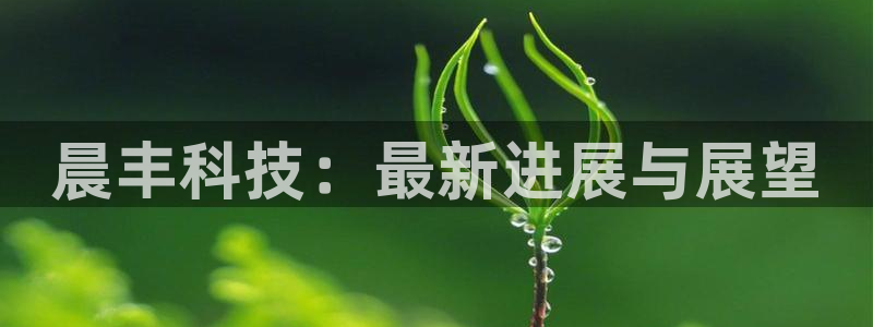 晨丰科技：最新进展与展望