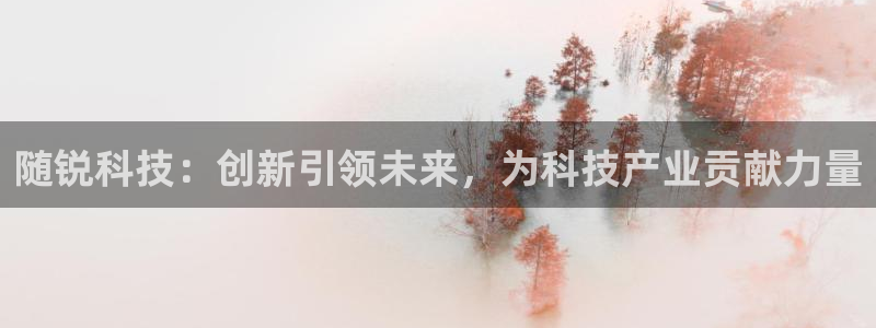 随锐科技：创新引领未来，为科技产业贡献力量