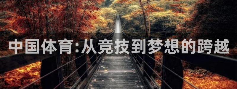 中国体育:从竞技到梦想的跨越