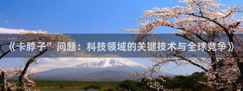 《卡脖子”问题：科技领域的关键技术与全球竞争》